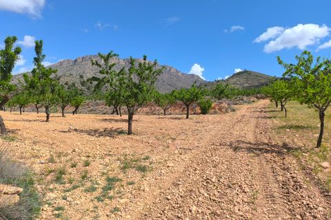 Terra a Orihuela, Alicante, Orihuela - € 36.000 | Ref: 69007 - foto 4
