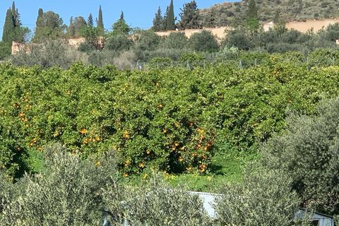 Landejendom i Arboleas, Almeria, Arboleas - € 85.000 | Ref: Casa Requenas - foto 41