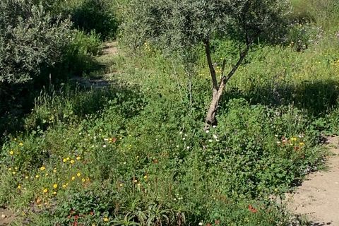 Landejendom i Arboleas, Almeria, Arboleas - € 85.000 | Ref: Casa Requenas - foto 43