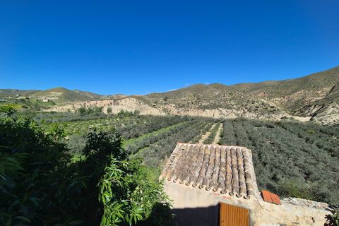 Landejendom i Arboleas, Almeria, Arboleas - € 85.000 | Ref: Casa Requenas - foto 42