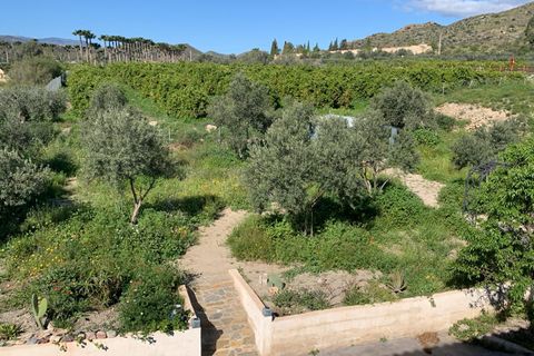 Landejendom i Arboleas, Almeria, Arboleas - € 85.000 | Ref: Casa Requenas - foto 37