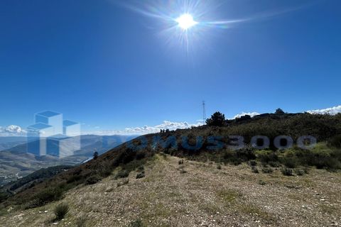 Terra a Sabrosa, Vila Real, Sabrosa - € 450.000 | Ref: TER_1393 - foto 2