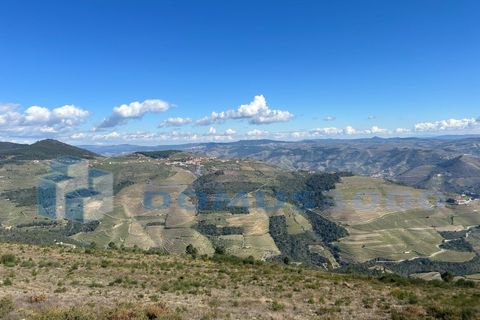 Terra a Sabrosa, Vila Real, Sabrosa - € 450.000 | Ref: TER_1393 - foto 3