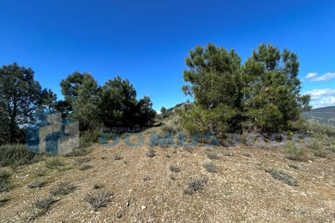 Terra a Sabrosa, Vila Real, Sabrosa - € 450.000 | Ref: TER_1393 - foto 4