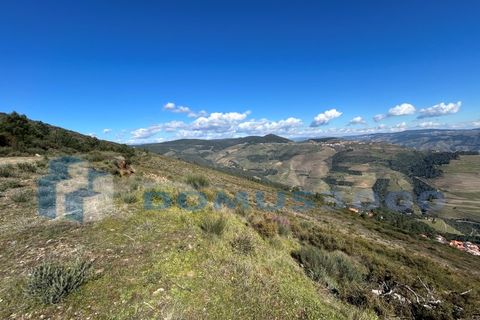 Terra a Sabrosa, Vila Real, Sabrosa - € 450.000 | Ref: TER_1393 - foto 5