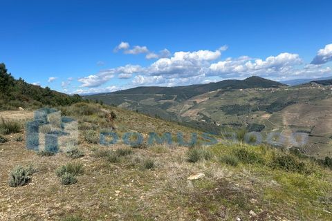 Terra a Sabrosa, Vila Real, Sabrosa - € 450.000 | Ref: TER_1393 - foto 6