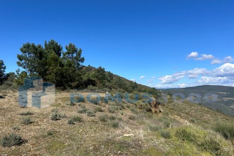 Terra a Sabrosa, Vila Real, Sabrosa - € 450.000 | Ref: TER_1393 - foto 8