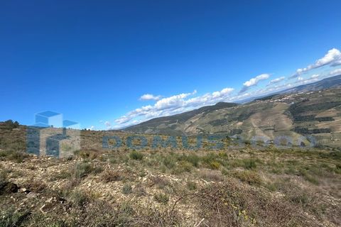 Terra a Sabrosa, Vila Real, Sabrosa - € 450.000 | Ref: TER_1393 - foto 9