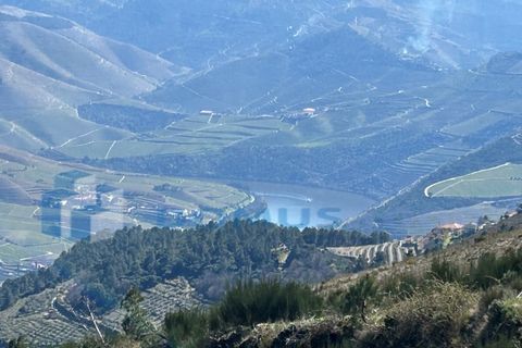 Terra a Sabrosa, Vila Real, Sabrosa - € 450.000 | Ref: TER_1393 - foto 11