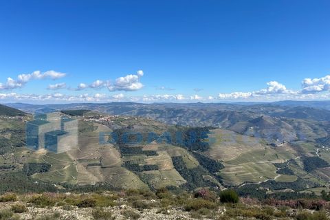 Terra a Sabrosa, Vila Real, Sabrosa - € 450.000 | Ref: TER_1393 - foto 12