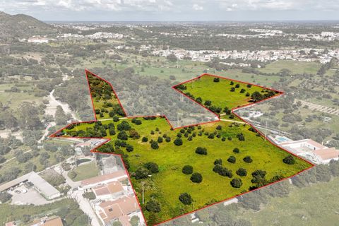 Helårsgrund i Setubal, Setubal, Setubal - € 1.100.000 | Ref: C0237-03429 - foto 6
