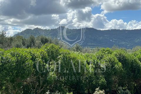 Helårsgrund i Sintra, Lisbon, Sintra - € 385.000 | Ref: 20250189 - foto 3