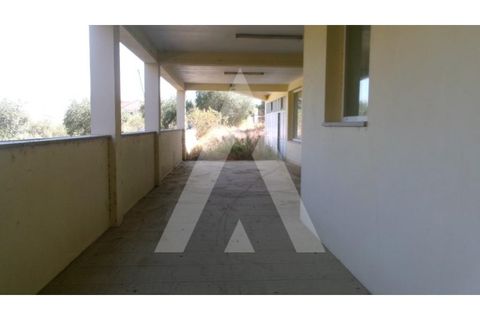 Erhvervsejendom i Valongo dos Azeites, Viseu, Valongo dos Azeites - € 215.000 | Ref: 1180537/25VS - foto 18