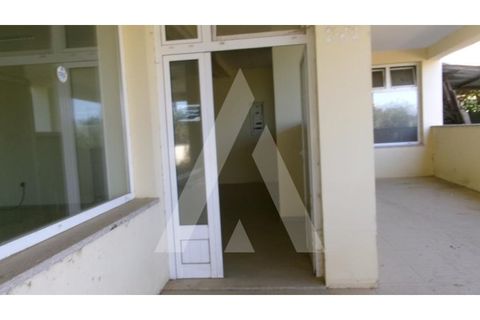Erhvervsejendom i Valongo dos Azeites, Viseu, Valongo dos Azeites - € 215.000 | Ref: 1180537/25VS - foto 19