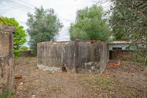 Helårsgrund i Tomar, Santarem, Tomar - € 57.500 | Ref: 121701120-216 - foto 3