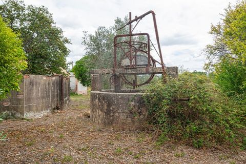 Helårsgrund i Tomar, Santarem, Tomar - € 57.500 | Ref: 121701120-216 - foto 4