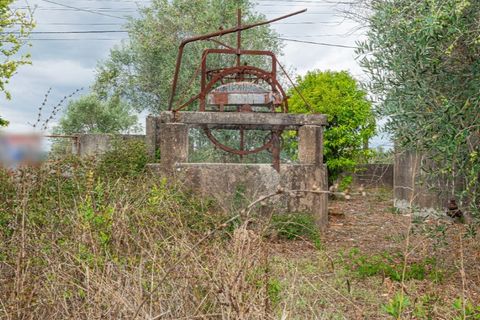 Helårsgrund i Tomar, Santarem, Tomar - € 57.500 | Ref: 121701120-216 - foto 5