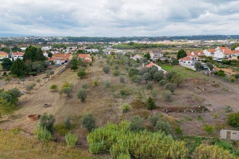 Helårsgrund i Tomar, Santarem, Tomar - € 57.500 | Ref: 121701120-216 - foto 9