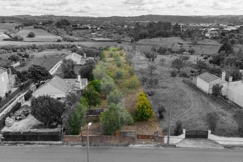 Helårsgrund i Tomar, Santarem, Tomar - € 57.500 | Ref: 121701120-216 - foto 11