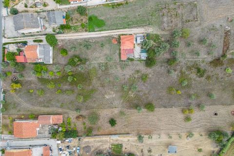 Helårsgrund i Tomar, Santarem, Tomar - € 57.500 | Ref: 121701120-216 - foto 12