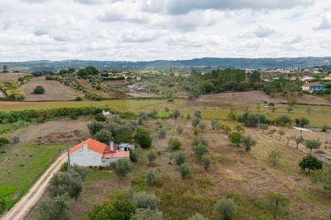 Helårsgrund i Tomar, Santarem, Tomar - € 57.500 | Ref: 121701120-216 - foto 15