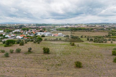 Helårsgrund i Tomar, Santarem, Tomar - € 57.500 | Ref: 121701120-216 - foto 16
