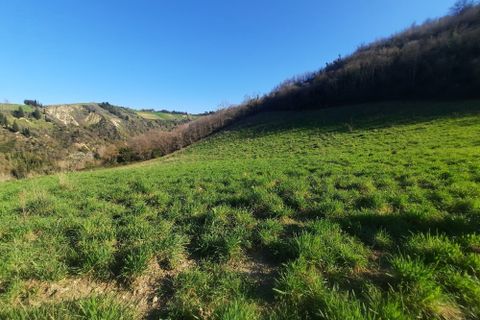 Villa i Ripatransone, Ascoli Piceno, Ripatransone - € 90.000 | Ref: 6834 - foto 4