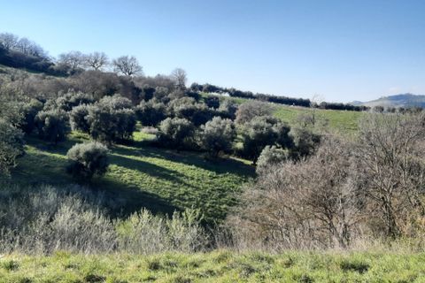 Villa i Ripatransone, Ascoli Piceno, Ripatransone - € 90.000 | Ref: 6834 - foto 5