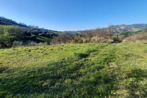 Villa i Ripatransone, Ascoli Piceno, Ripatransone - € 90.000 | Ref: 6834 - foto 6