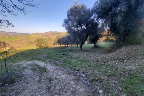 Villa i Ripatransone, Ascoli Piceno, Ripatransone - € 90.000 | Ref: 6834 - foto 14