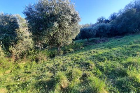 Villa i Ripatransone, Ascoli Piceno, Ripatransone - € 90.000 | Ref: 6834 - foto 15
