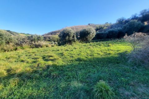 Villa i Ripatransone, Ascoli Piceno, Ripatransone - € 90.000 | Ref: 6834 - foto 16