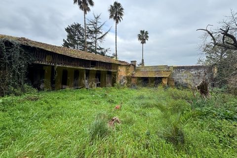 Villa a Barro, Aveiro, Barro - € 145.000 | Ref: 25004 - foto 2