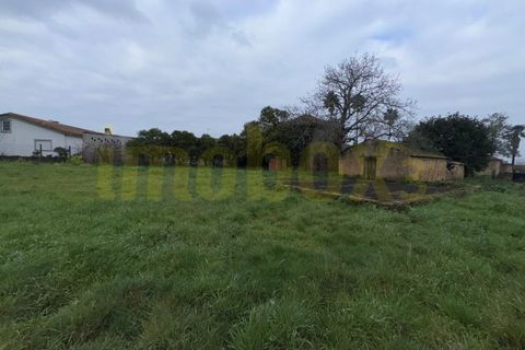 Villa a Barro, Aveiro, Barro - € 145.000 | Ref: 25004 - foto 4