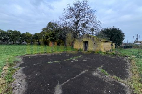 Villa a Barro, Aveiro, Barro - € 145.000 | Ref: 25004 - foto 5