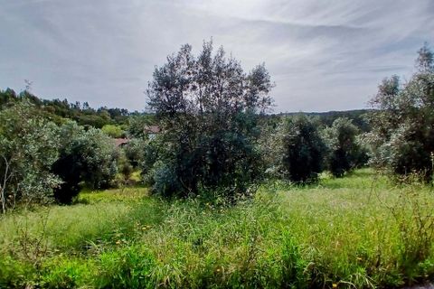 Helårsgrund i Tomar, Santarem, Tomar - € 40.000 | Ref: VCP446 - foto 3