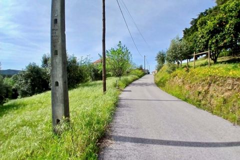 Helårsgrund i Tomar, Santarem, Tomar - € 40.000 | Ref: VCP446 - foto 4