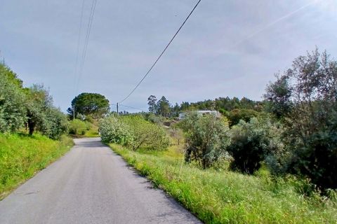 Helårsgrund i Tomar, Santarem, Tomar - € 40.000 | Ref: VCP446 - foto 6