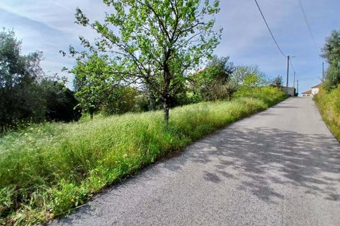 Helårsgrund i Tomar, Santarem, Tomar - € 40.000 | Ref: VCP446 - foto 7