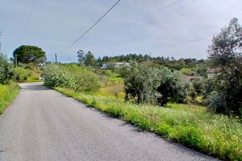 Helårsgrund i Tomar, Santarem, Tomar - € 40.000 | Ref: VCP446 - foto 11