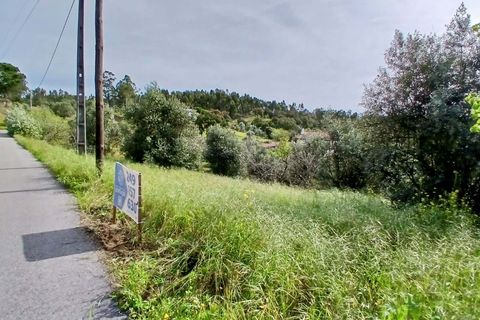 Helårsgrund i Tomar, Santarem, Tomar - € 40.000 | Ref: VCP446 - foto 13