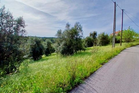 Helårsgrund i Tomar, Santarem, Tomar - € 40.000 | Ref: VCP446 - foto 14