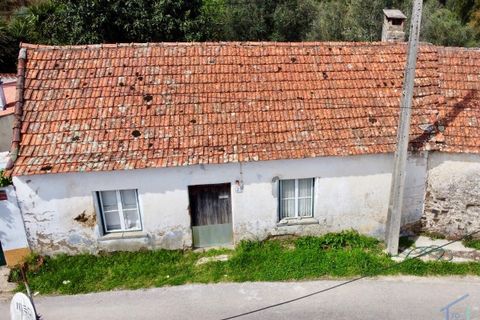 Villa i Tomar, Santarem, Tomar - € 62.500 | Ref: VCP445 - foto 3