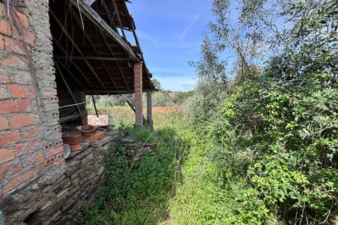 Villa i Tomar, Santarem, Tomar - € 62.500 | Ref: VCP445 - foto 5
