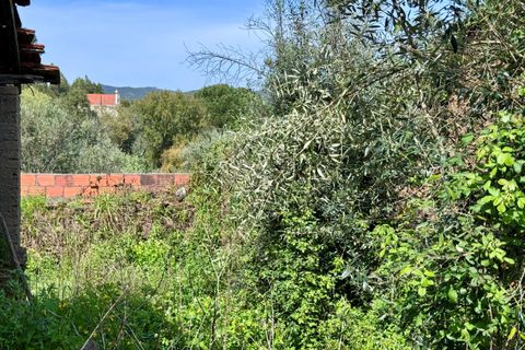 Villa i Tomar, Santarem, Tomar - € 62.500 | Ref: VCP445 - foto 7