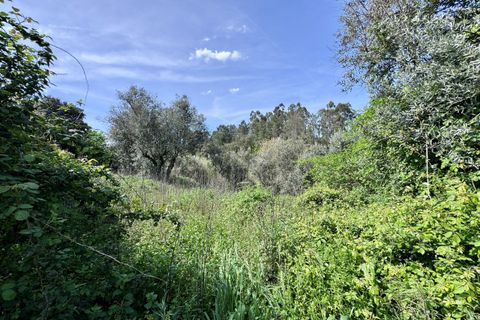 Villa i Tomar, Santarem, Tomar - € 62.500 | Ref: VCP445 - foto 22