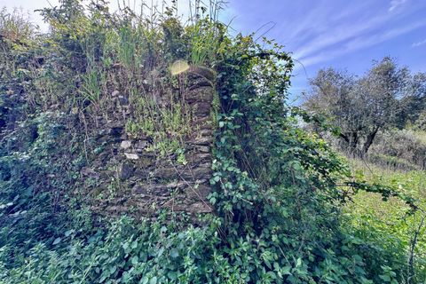 Villa i Tomar, Santarem, Tomar - € 62.500 | Ref: VCP445 - foto 23