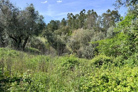 Villa i Tomar, Santarem, Tomar - € 62.500 | Ref: VCP445 - foto 24