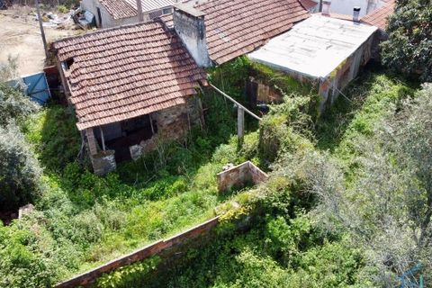 Villa i Tomar, Santarem, Tomar - € 62.500 | Ref: VCP445 - foto 25