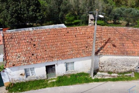 Villa i Tomar, Santarem, Tomar - € 62.500 | Ref: VCP445 - foto 27